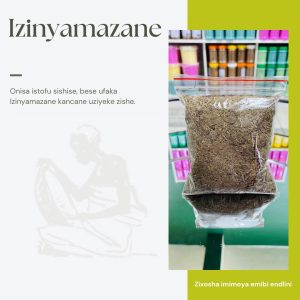 Izinyamazane